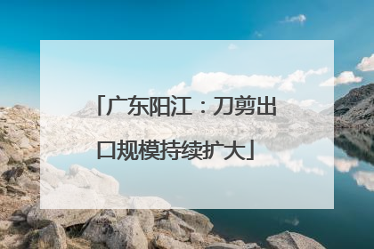 广东阳江：刀剪出口规模持续扩大