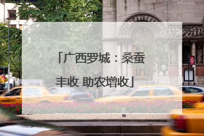 广西罗城：桑蚕丰收 助农增收