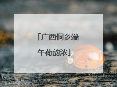 广西侗乡端午荷韵浓