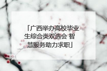 广西举办高校毕业生综合类双选会 智慧服务助力求职