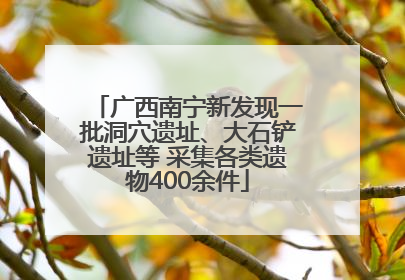 广西南宁新发现一批洞穴遗址、大石铲遗址等 采集各类遗物400余件
