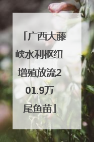 广西大藤峡水利枢纽增殖放流201.9万尾鱼苗