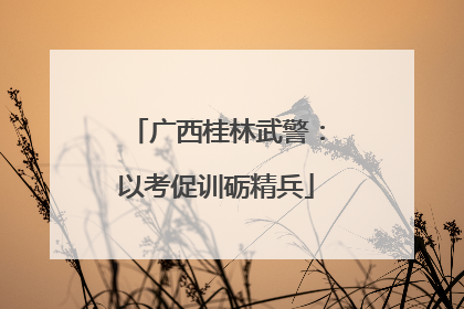 广西桂林武警：以考促训砺精兵