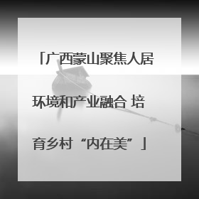 广西蒙山聚焦人居环境和产业融合 培育乡村“内在美”