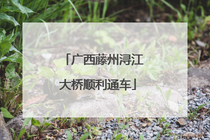 广西藤州浔江大桥顺利通车