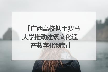 广西高校携手罗马大学推动建筑文化遗产数字化创新