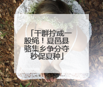 干群拧成一股绳！夏邑县骆集乡争分夺秒促夏种