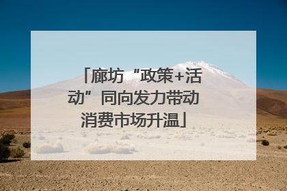廊坊“政策+活动”同向发力带动消费市场升温