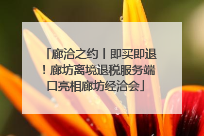 廊洽之约丨即买即退！廊坊离境退税服务端口亮相廊坊经洽会