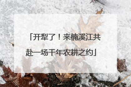 开犁了！来楠溪江共赴一场千年农耕之约