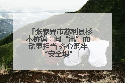 张家界市慈利县杉木桥镇：闻“汛”而动显担当 齐心筑牢“安全堤”
