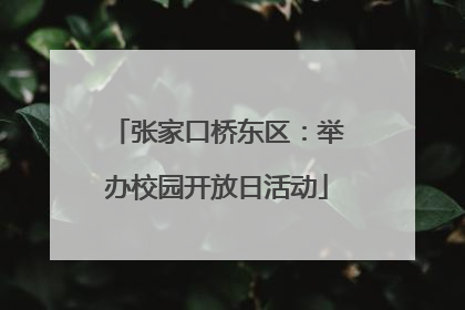张家口桥东区：举办校园开放日活动