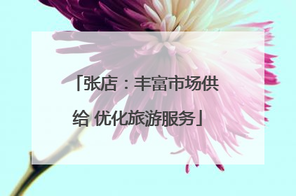 张店：丰富市场供给 优化旅游服务