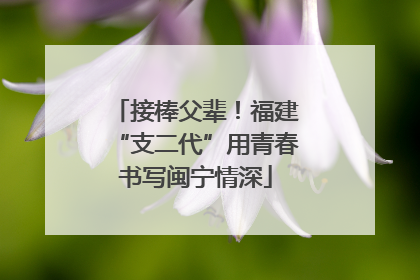 接棒父辈！福建“支二代”用青春书写闽宁情深