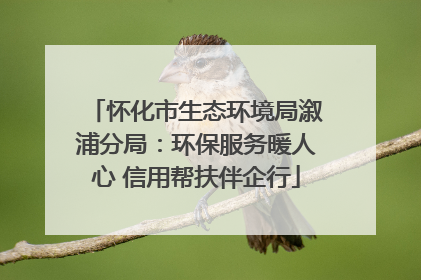 怀化市生态环境局溆浦分局：环保服务暖人心 信用帮扶伴企行