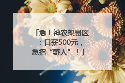 急！神农架景区：日薪500元，急招“野人”！