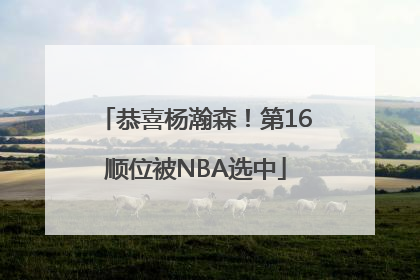 恭喜杨瀚森！第16顺位被NBA选中
