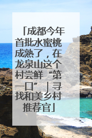 成都今年首批水蜜桃成熟了，在龙泉山这个村尝鲜“第一口”｜寻找和美乡村推荐官