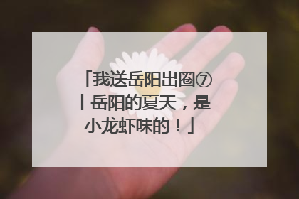 我送岳阳出圈⑦丨岳阳的夏天，是小龙虾味的！