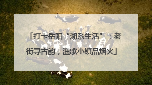 打卡岳阳“湖系生活”：老街寻古韵，渔歌小镇品烟火