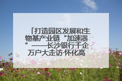 打造园区发展和生物基产业链“加速器”——长沙银行千企万户大走访·怀化高新区、生物基产业链专场活动举行