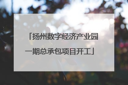 扬州数字经济产业园一期总承包项目开工