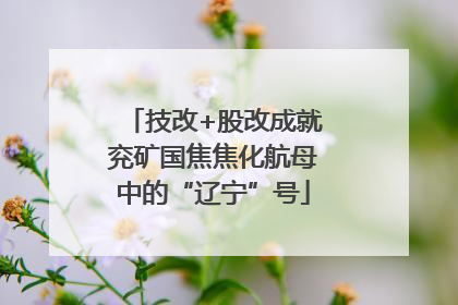 技改+股改成就兖矿国焦焦化航母中的“辽宁”号