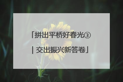 拼出平桥好春光③｜交出振兴新答卷