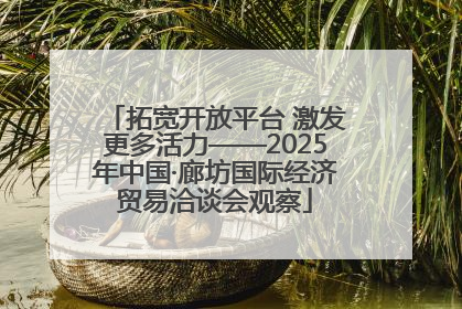 拓宽开放平台 激发更多活力——2025年中国·廊坊国际经济贸易洽谈会观察