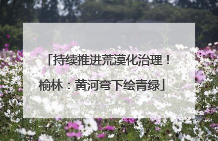 持续推进荒漠化治理！榆林：黄河弯下绘青绿