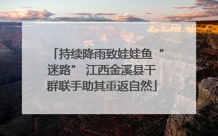 持续降雨致娃娃鱼“迷路” 江西金溪县干群联手助其重返自然