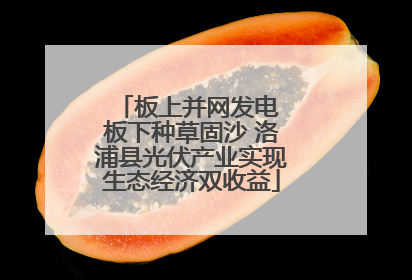 板上并网发电 板下种草固沙 洛浦县光伏产业实现生态经济双收益
