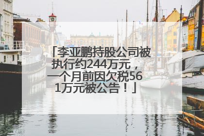 李亚鹏持股公司被执行约244万元，一个月前因欠税561万元被公告！