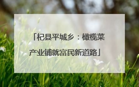 杞县平城乡：橄榄菜产业铺就富民新道路