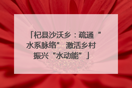 杞县沙沃乡：疏通“水系脉络” 激活乡村振兴“水动能”