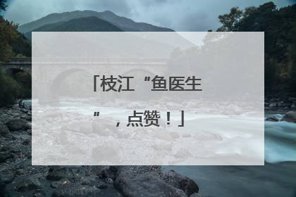 枝江“鱼医生”，点赞！