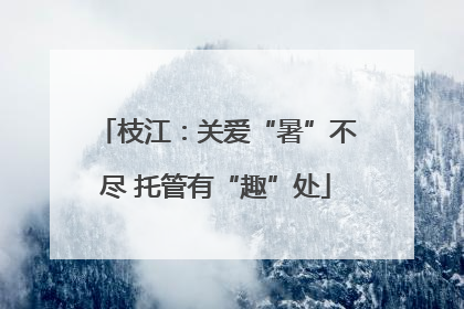 枝江：关爱“暑”不尽 托管有“趣”处