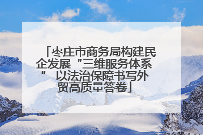 枣庄市商务局构建民企发展“三维服务体系” 以法治保障书写外贸高质量答卷