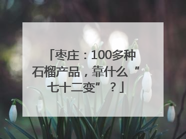 枣庄：100多种石榴产品，靠什么“七十二变”？