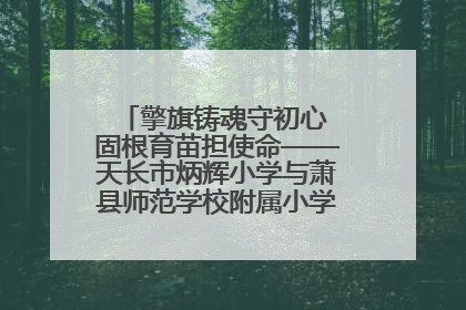 擎旗铸魂守初心 固根育苗担使命——天长市炳辉小学与萧县师范学校附属小学结对共建活动纪实