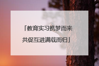 教育实习携梦而来 共促互进满载而归