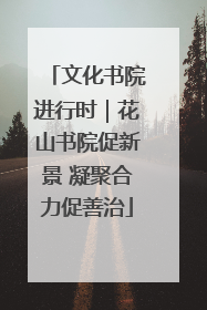 文化书院进行时｜花山书院促新景 凝聚合力促善治
