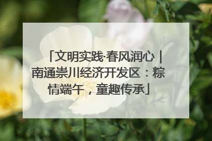 文明实践·春风润心｜南通崇川经济开发区：粽情端午，童趣传承