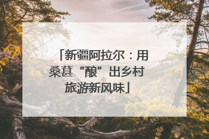 新疆阿拉尔：用桑葚“酿”出乡村旅游新风味