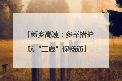 新乡高速：多举措护航“三夏”保畅通