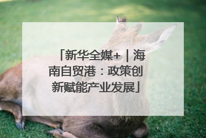 新华全媒+｜海南自贸港：政策创新赋能产业发展