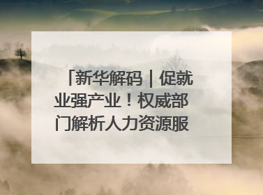 新华解码｜促就业强产业！权威部门解析人力资源服务业与制造业融合发展试点