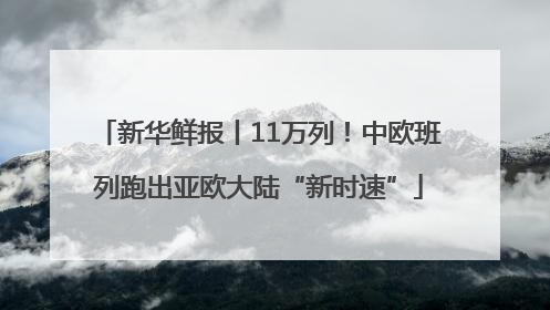 新华鲜报丨11万列！中欧班列跑出亚欧大陆“新时速”