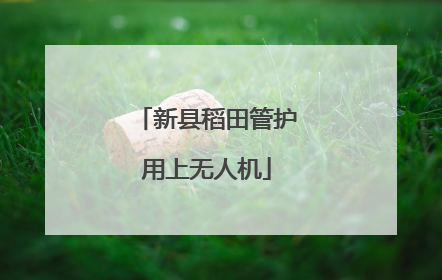 新县稻田管护用上无人机
