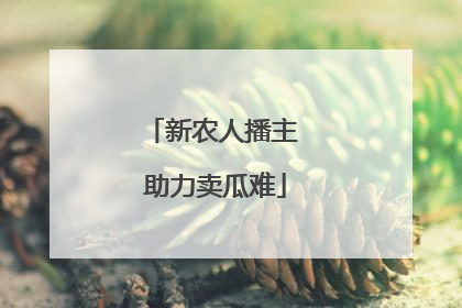新农人播主 助力卖瓜难